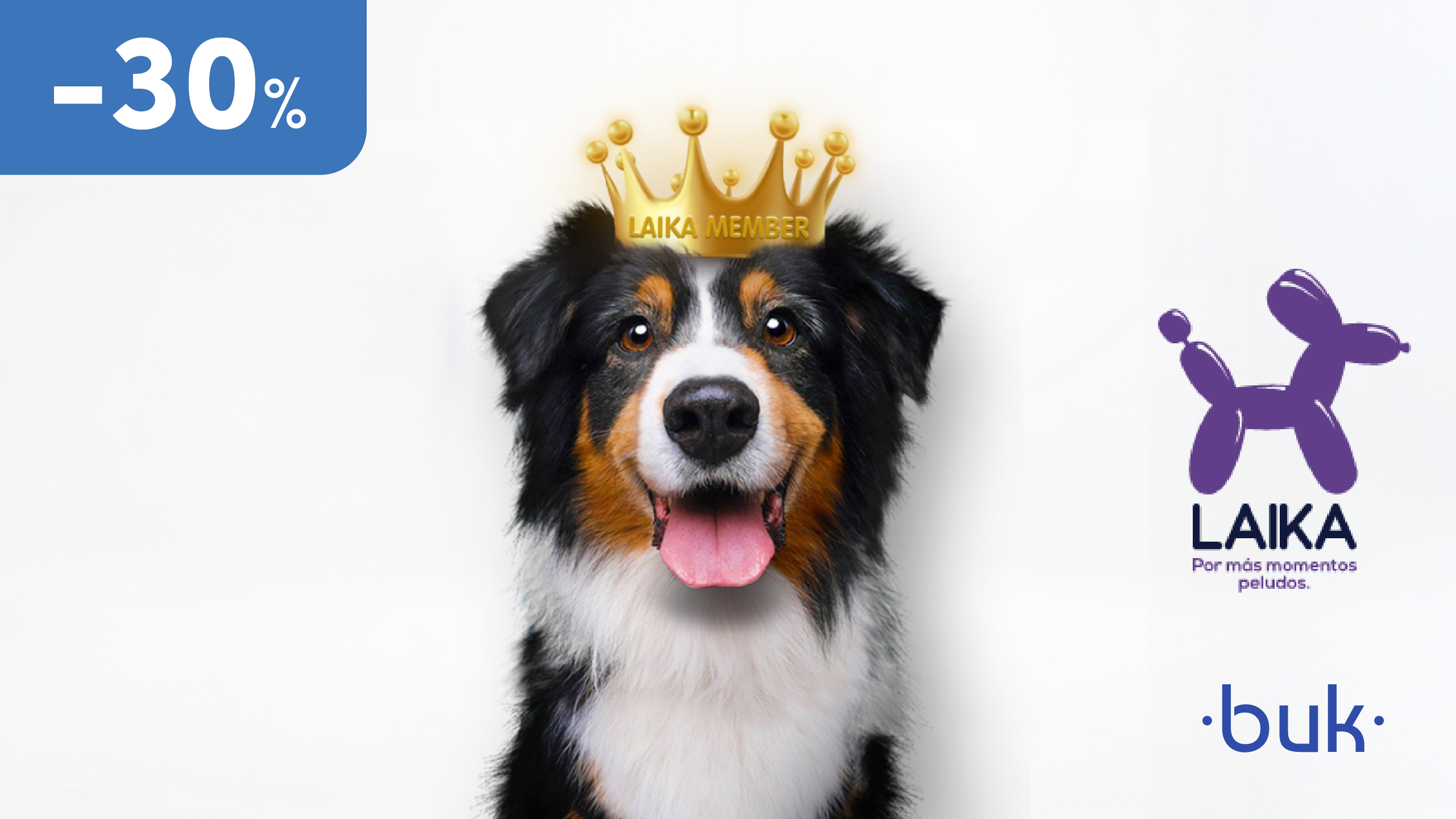 Perro con una corona de Laika